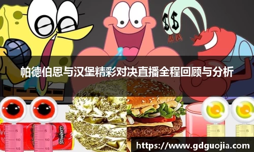 帕德伯恩与汉堡精彩对决直播全程回顾与分析